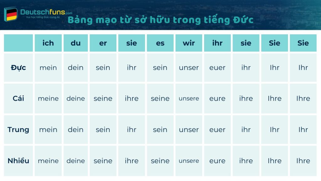 mạo từ sở hữu trong tiếng đức
