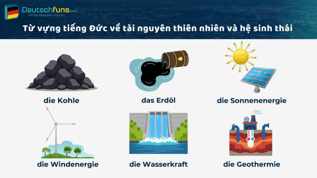 từ vựng tiếng đức chủ đề môi trường